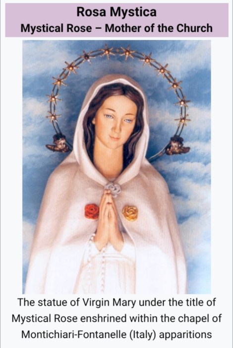 The Virgin Mary - Mystical Rose, wearing a white, red and golden rose